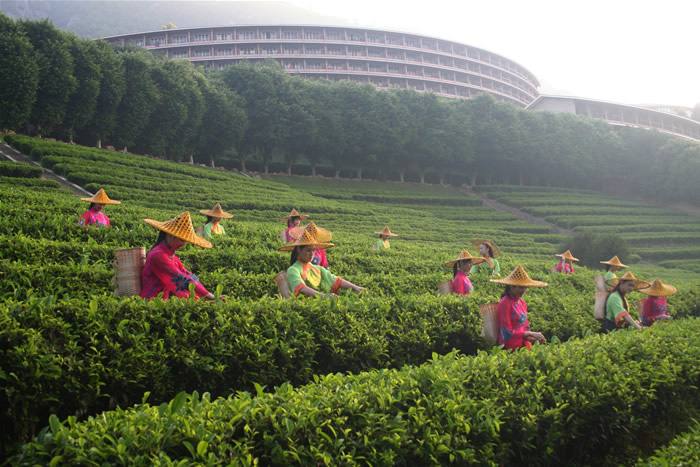 梅州七个县城有哪些地方,梅州有什么特别的地方