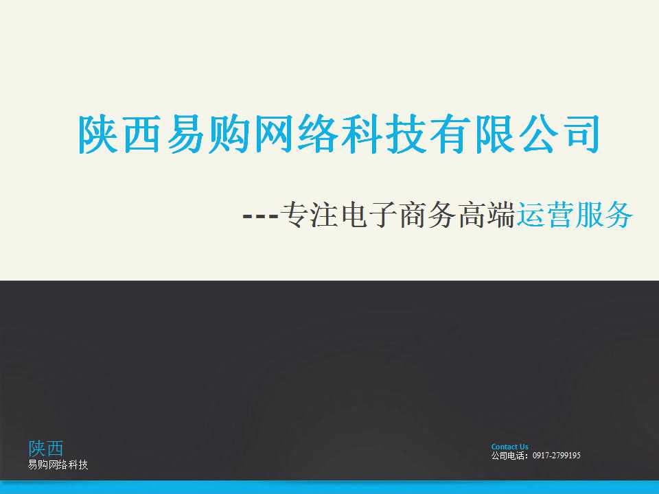 电商公司现状ppt,电商平台ppt介绍