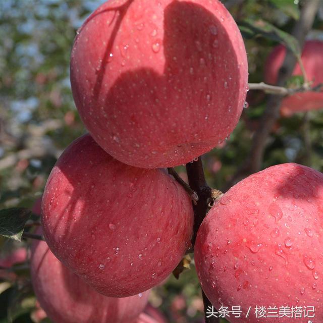 嘴唇干裂用什么护肤品好,不是所有问题都有解决的办法