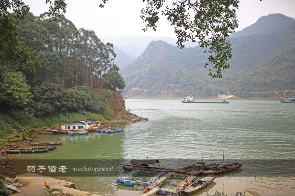 居于涟岸隐于湖,到肇庆体验离尘不离城的精致慢生活