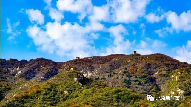 北京最美赏花公园在哪,北京赏花公园景点推荐