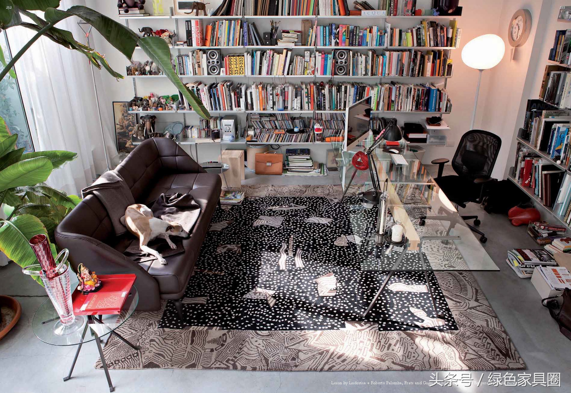 小博士儿童家居年款,家具好物推荐原木色小户型