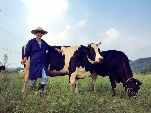 杭州市奢侈品翻新,杭州十大奢侈品城