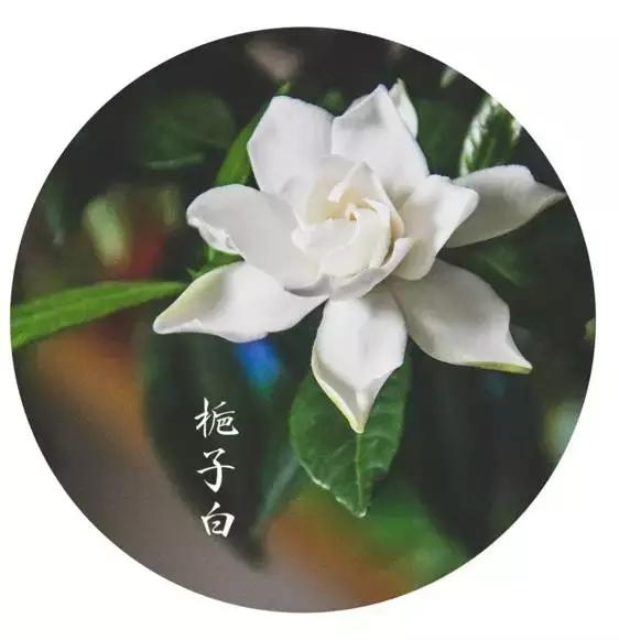 冷门却好用到爆的护肤品大盘点,盘点5款小众护肤品明明好用不贵