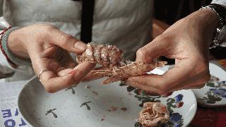 皮皮虾最美季节,又到了皮皮虾最肥美的季节