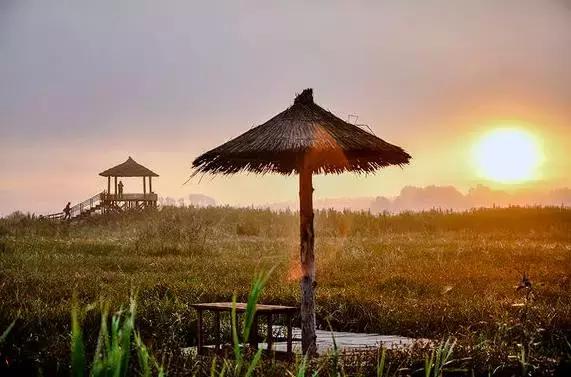 辽源最近有什么大新闻,辽源市最新严查