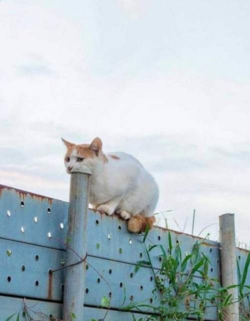 趣图搞笑,搞笑趣图