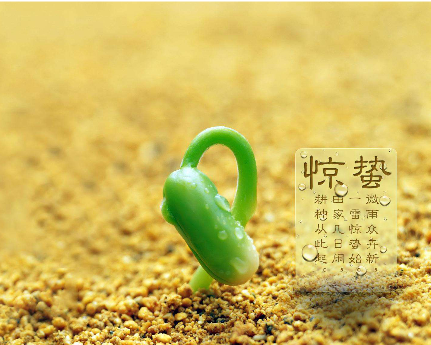 惊蛰春雷乍动万物生长,惊蛰时节春雷一声万物生长