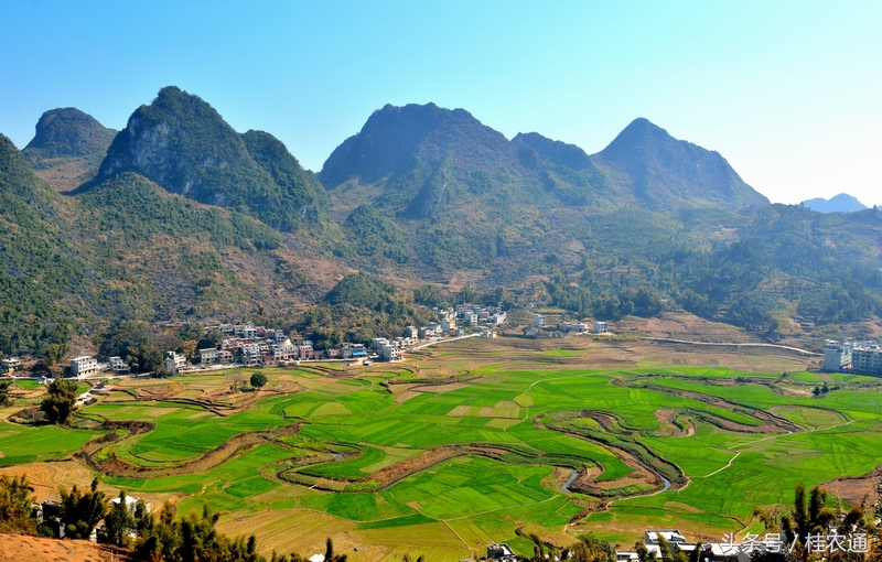 广西为什么适合农业,广西农业哪里最发达