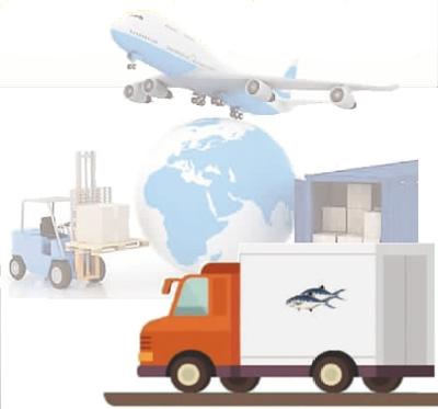 风口越来越少以后的人生存更艰难,最适合平民的风口