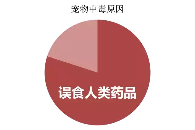 宠物吃人用药的危害,宠物不能随便吃什么药