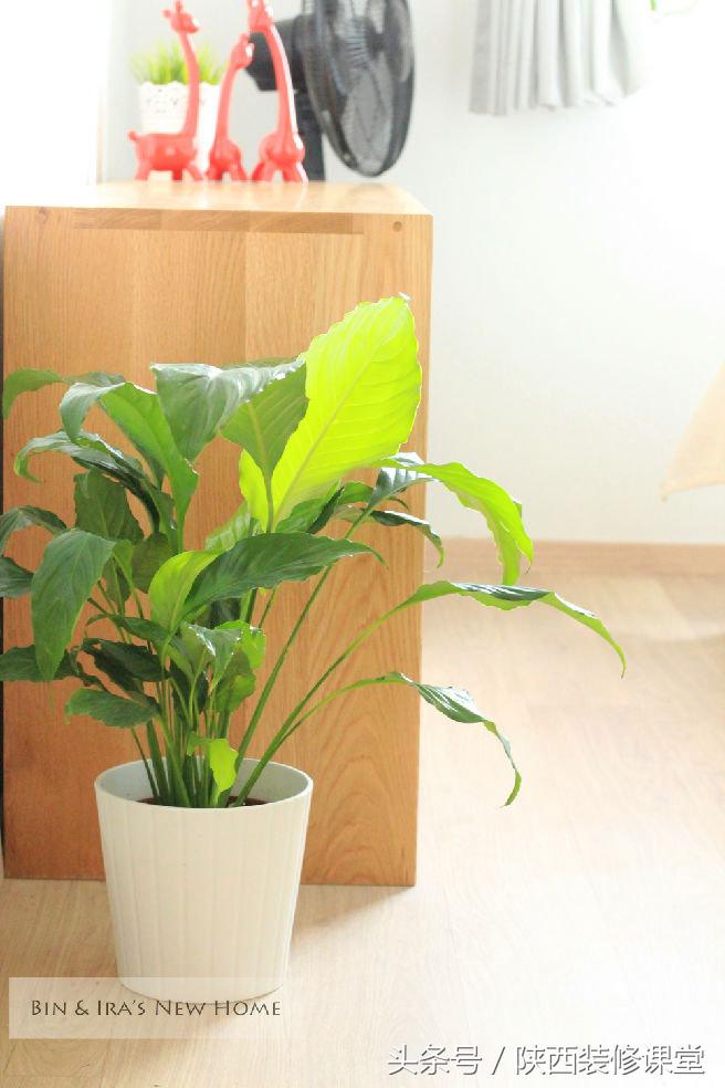 muji原木风温馨小屋,muji原木风温馨小家