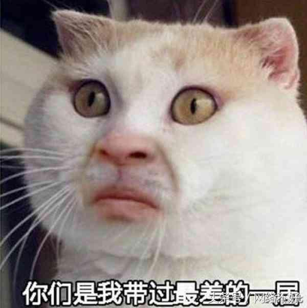 老师讲课上衣,老师上课穿的罩衣