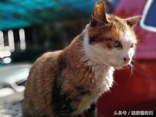 荣耀v9play整天续航,荣耀v9单电流