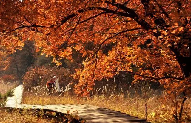 辽源最近有什么大新闻,辽源市最新严查