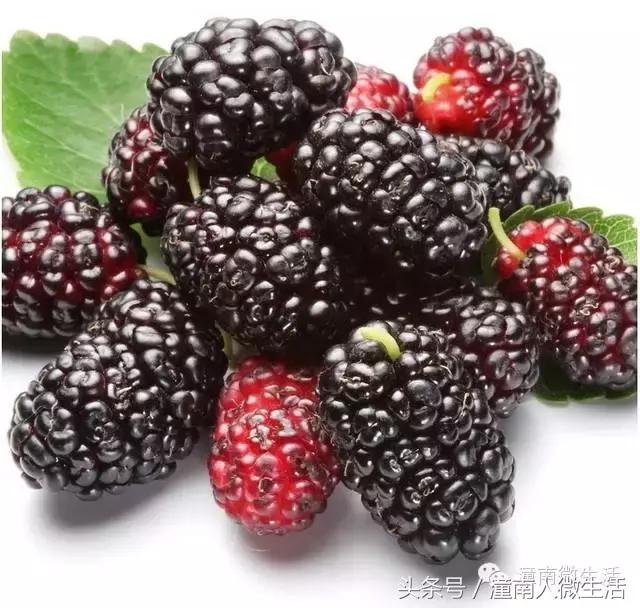 潼南附近的城市好玩的地方,潼南是不是个好地方