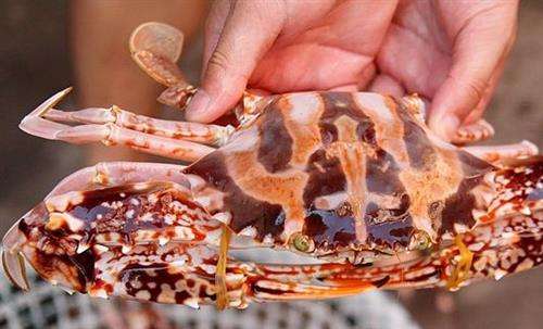 厦门的蟹有什么吃法,所有蟹的正确吃法