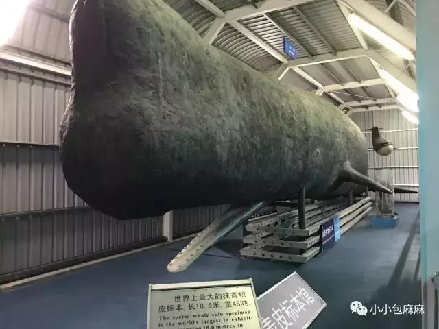 沈阳到厦门亲子游攻略,厦门亲子游三天两晚多少钱合适