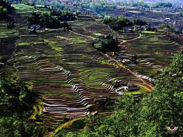 四峨梯田徒步,成都九月四姑娘山徒步一日游