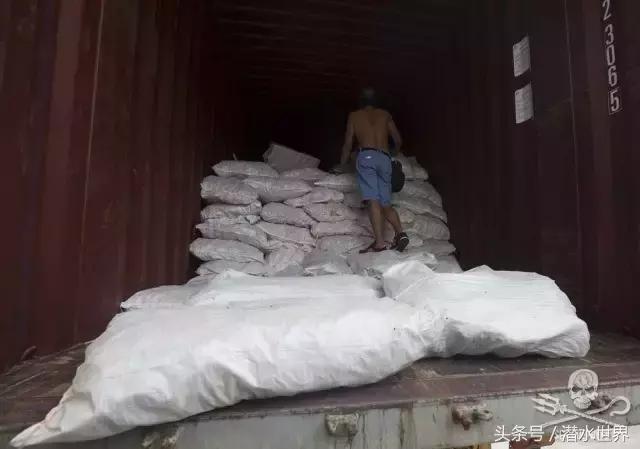 禁令之下,鱼翅照运?