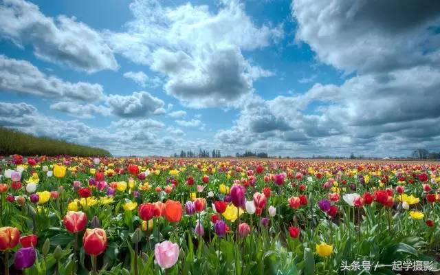 爱摄影的人都有什么特点,喜欢摄影的女人是什么样的人