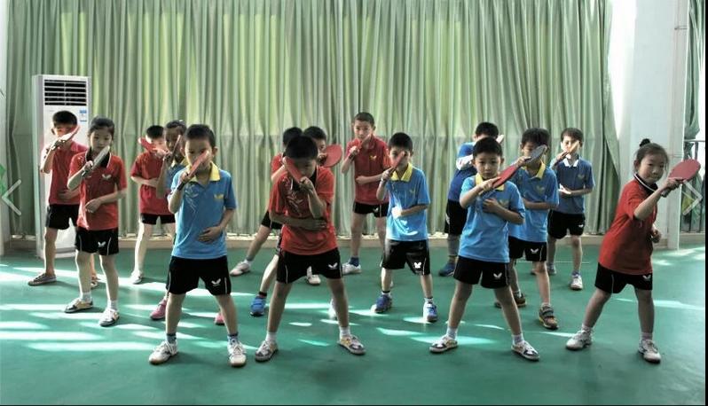 苏州相城乒乓球训练,苏州乒乓成人训练