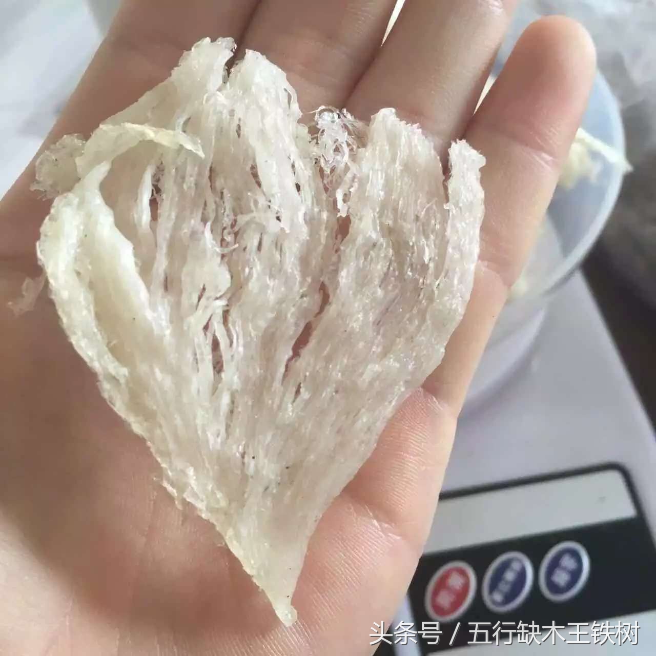 泰国燕窝什么工艺,泰国燕窝知识