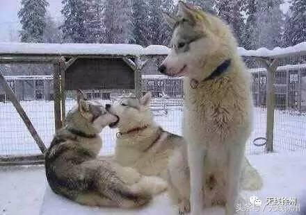 矿大学生发言,矿大学子们