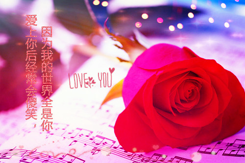 唯美意境的句子带图片,小清新绿色唯美图片