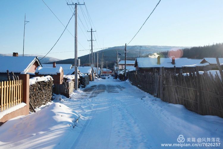 白狐千年等待只为今生相遇,白狼一生只爱一人
