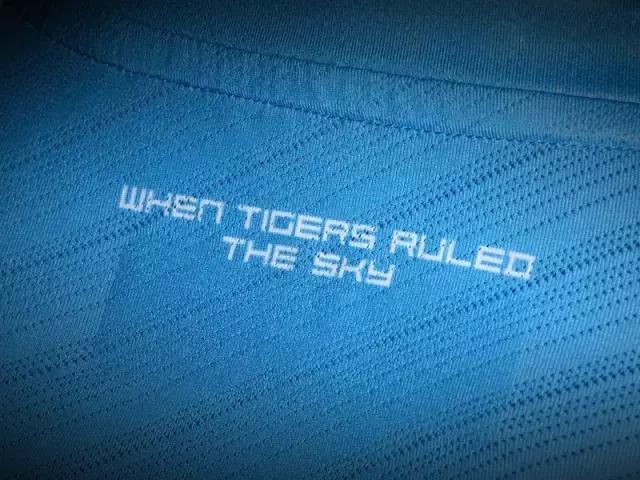 终于等到你2020年第一场雪,卡尔美中甲梅县铁汉球衣