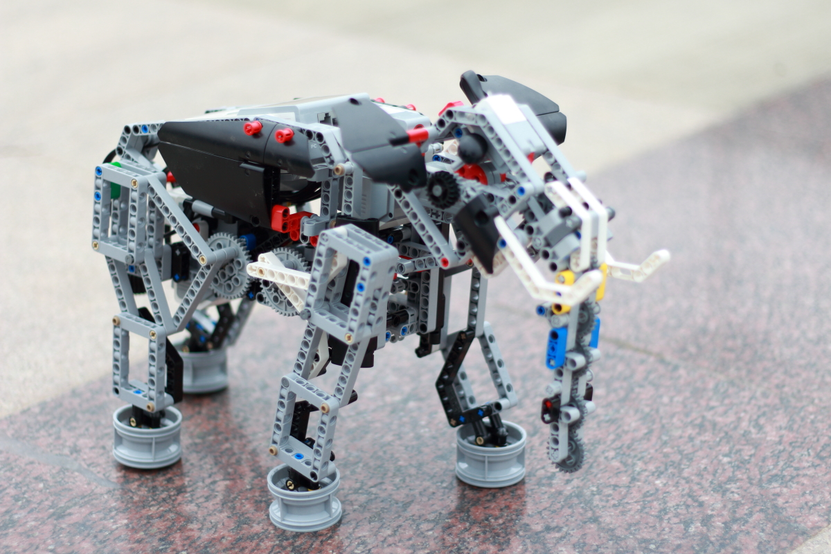 小孩兴趣班机器人,机器人的兴趣班