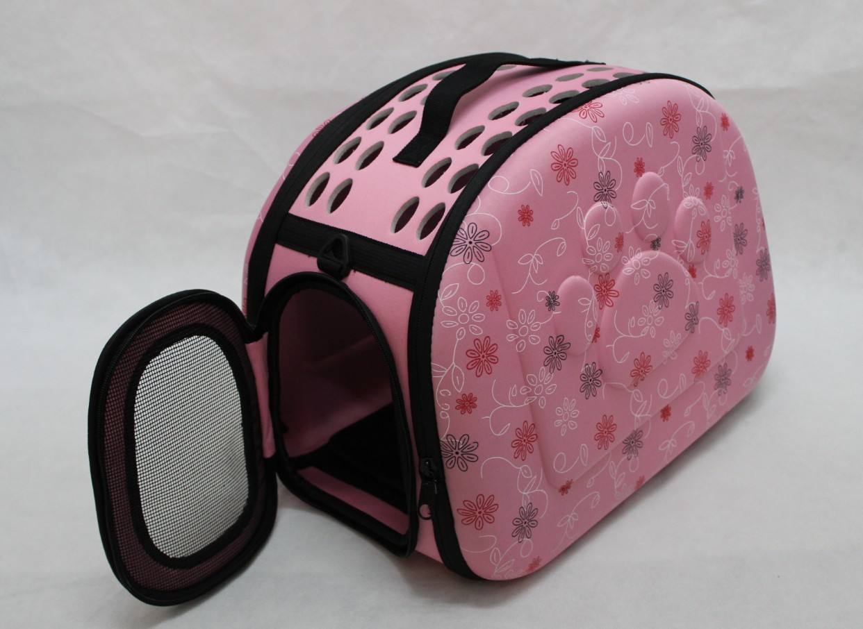 猫咪来到新家不吃不喝咋办,新到家猫咪不吃猫粮怎么办