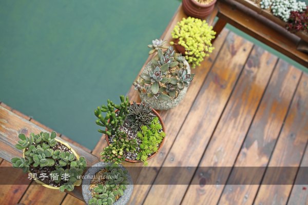 居于涟岸隐于湖，到肇庆体验离尘不离城的精致慢生活