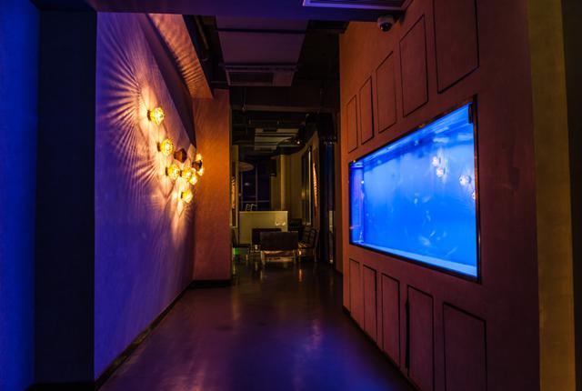 带你喝遍星巴克文案,魔都夜景清吧