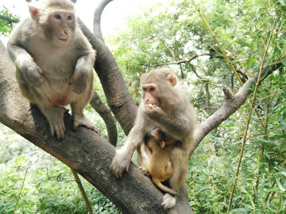 “东海第一圣境”连云港，神奇的山海“晶”