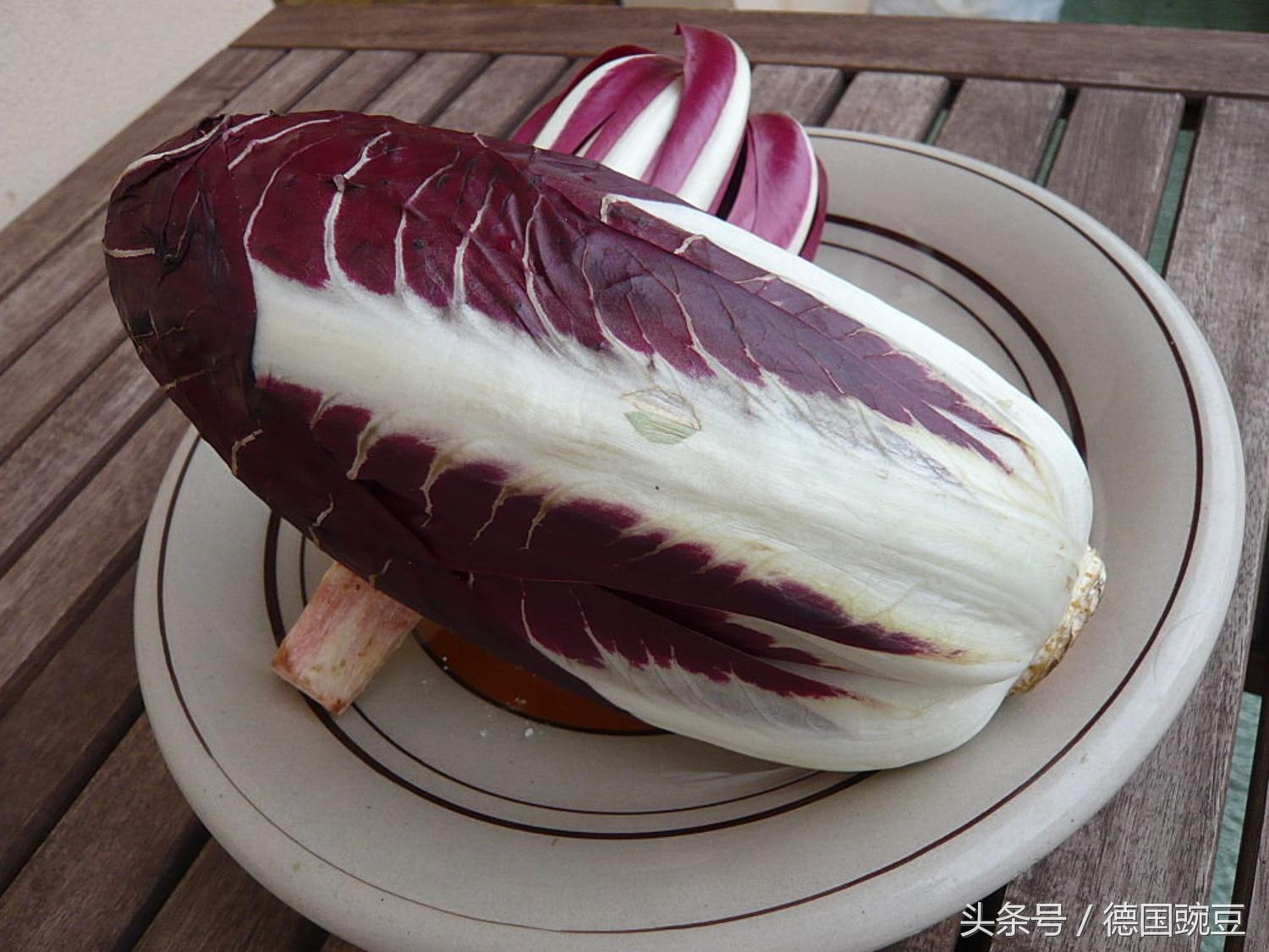 绿叶蔬菜菊苣,菊苣是一种很少见的蔬菜