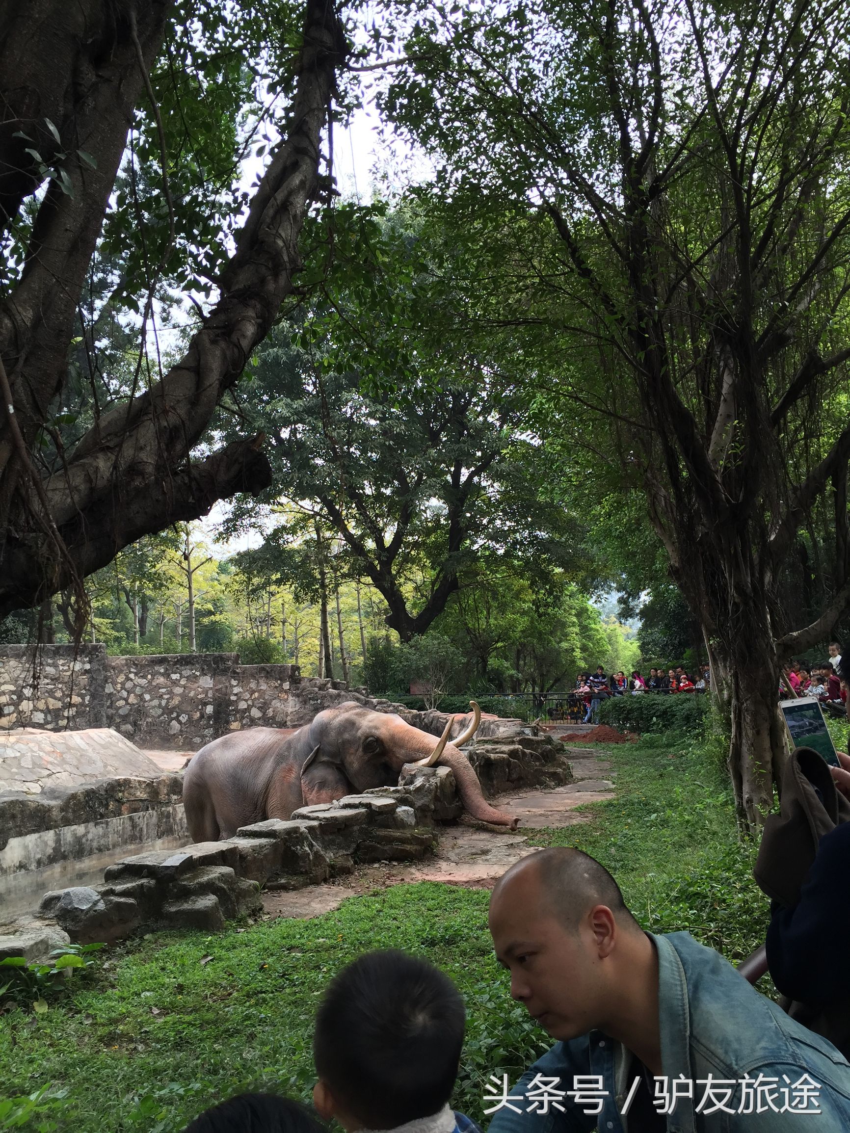 广州长隆亲子游旅行攻略,广州长隆4园2天1夜亲子游攻略