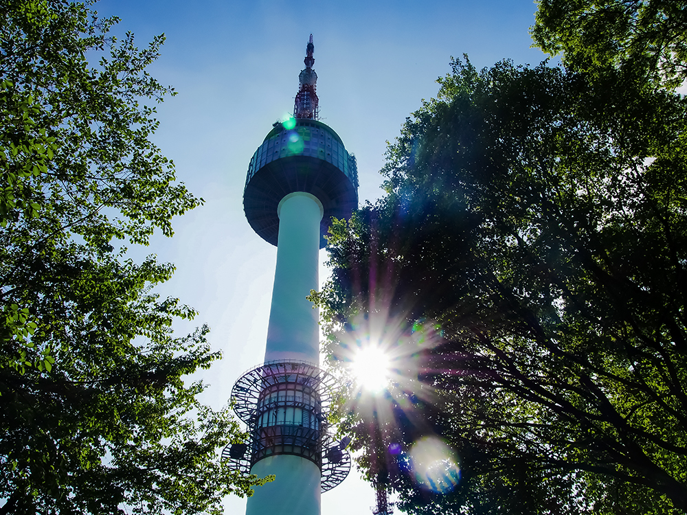 闊╁浗涔愬ぉ涓栫晫 (闊╁浗棣栧皵涔愬ぉ涓栫晫)