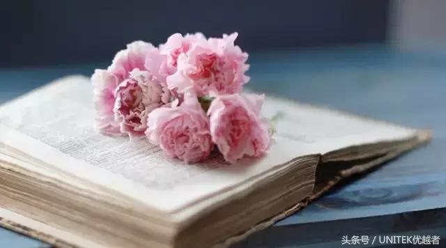 人生总是需要一点妥协,一个人不要太执拗