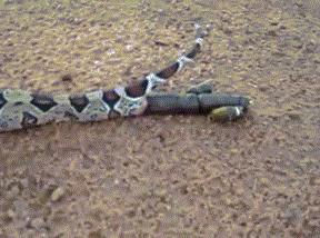 趣味十八图高清图片,1至20的数字趣味图