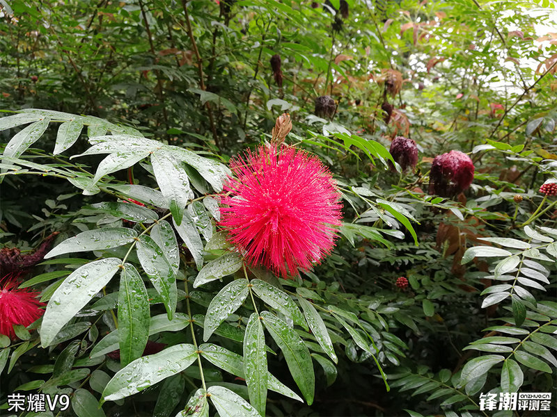 一加3t和荣耀v9哪个好,荣耀v9和一加3t评测视频