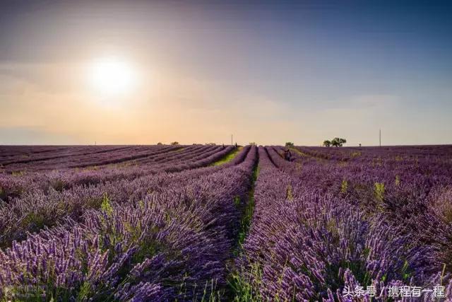 是什么样的国家，公共厕所里竟然只有一个拳头大的壶？