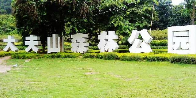 广州游玩攻略一天排行榜,广州免费景点大全排名榜