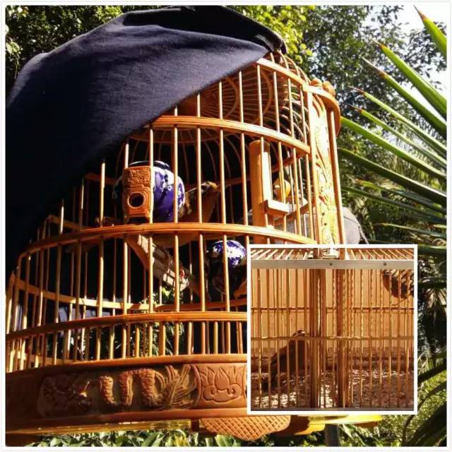 过年来云南旅游,春节普洱小众游