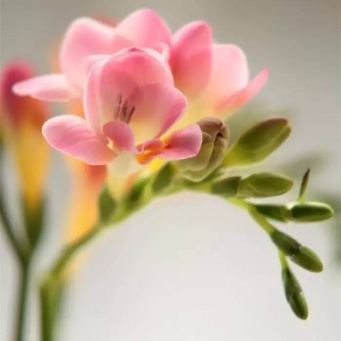 人生的三个境界，你到了哪一层？