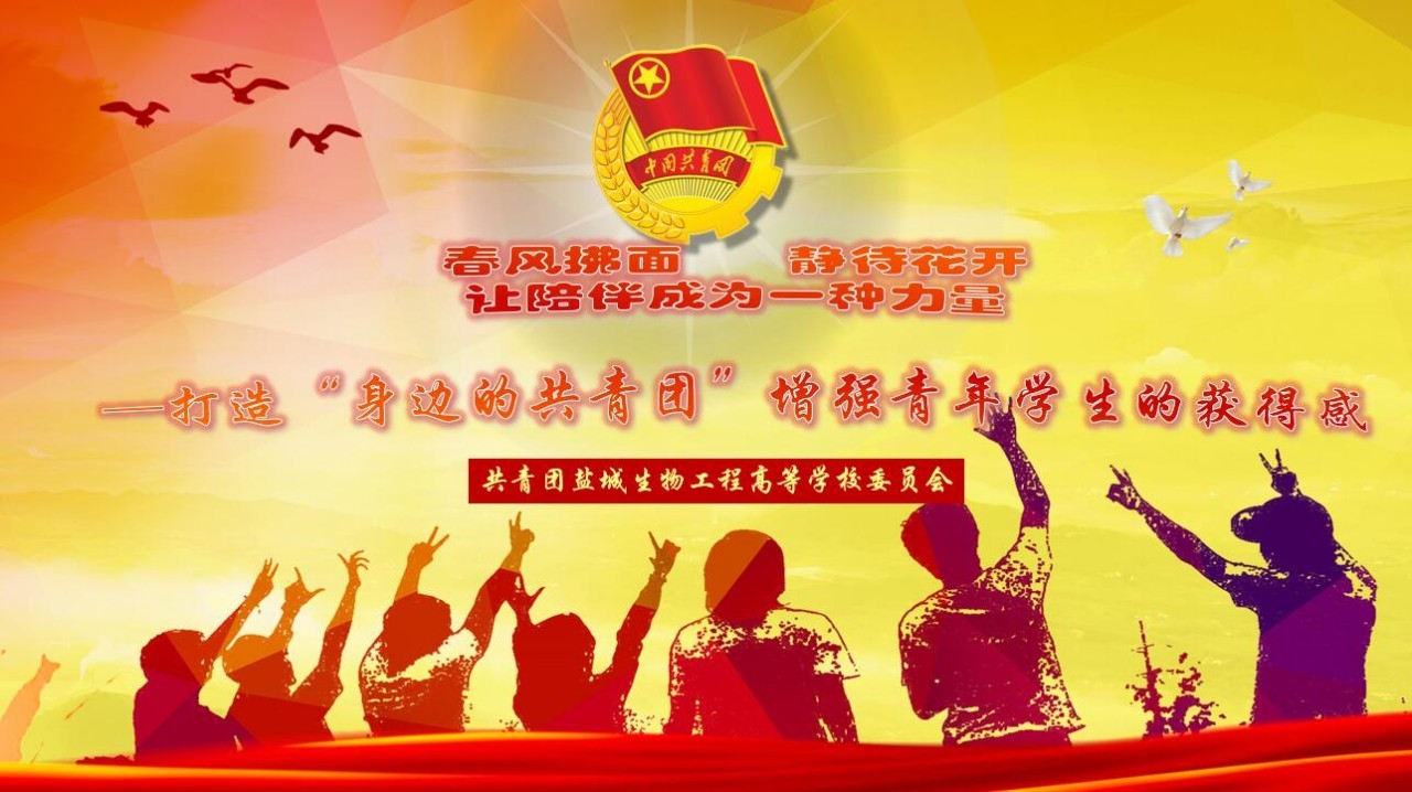 基层干部擂台赛,基层干部大擂台赛活动