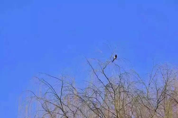 栾川游览图,栾川风景航拍