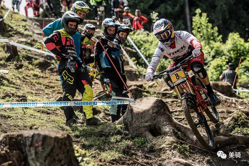 老鸟入门教程视频,分享新手选车攻略