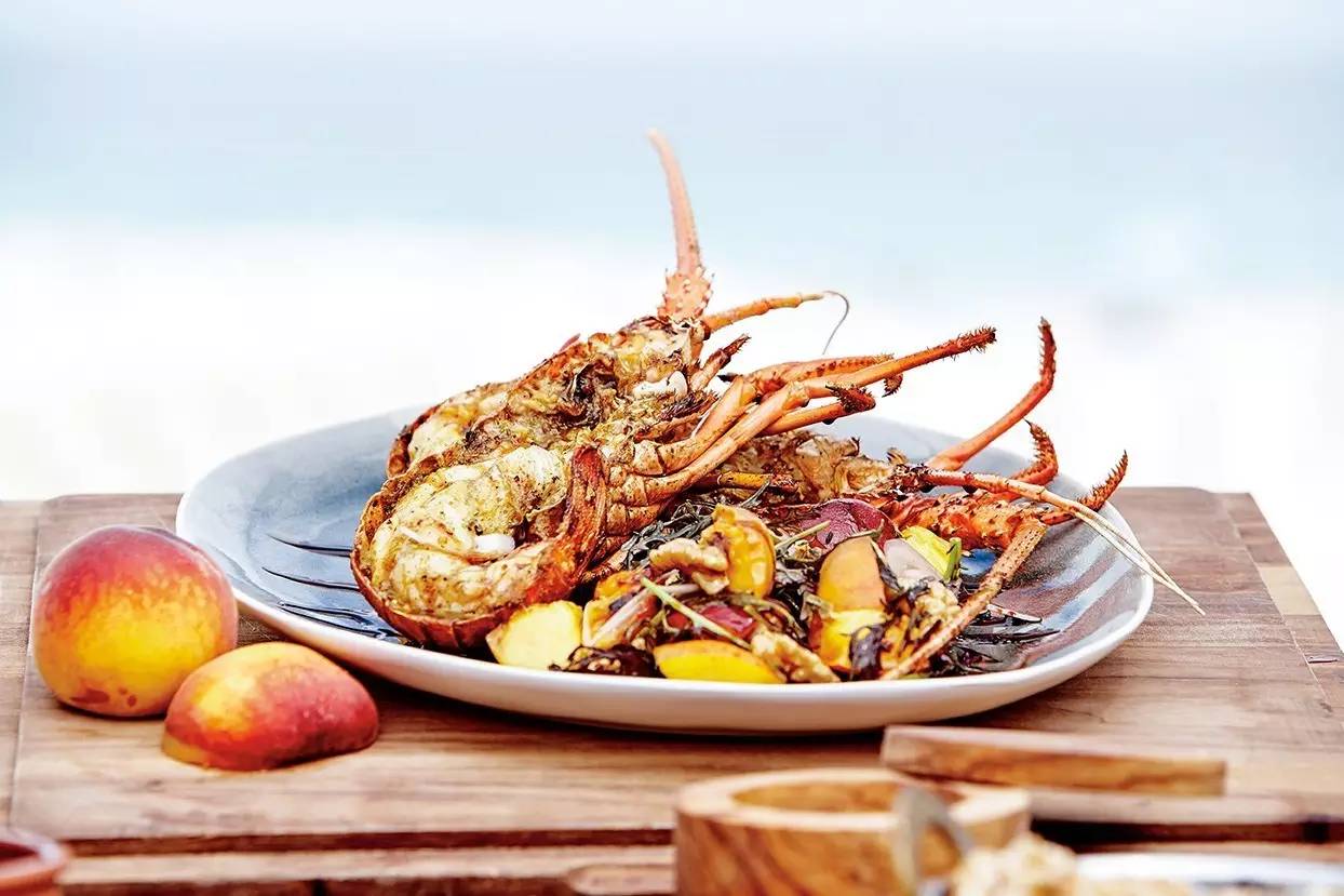 在澳洲抓澳洲小龙虾,澳大利亚捕龙虾